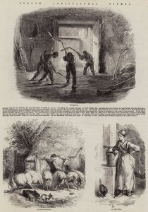 Scene agricole francesi
